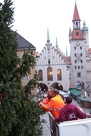 Symbolisch wird mit dem schmücken des Baumes in lufiger Höhe begonnen (Foto: Martin Schmitz)